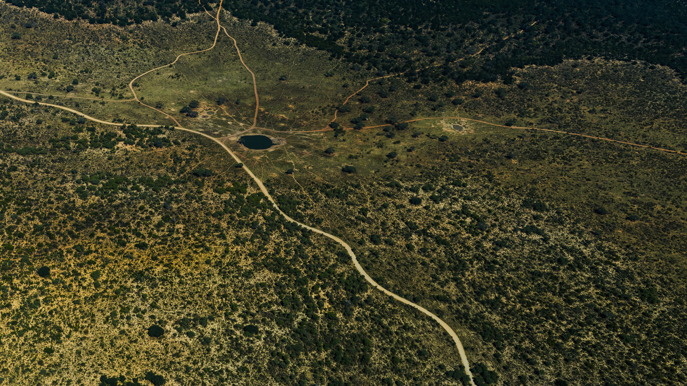 Aerial view of animal trails converging on a watering hole