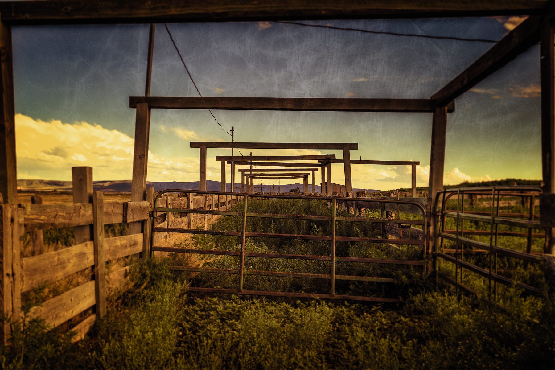 A weathered timber corral and loading chute silhouetted against a yellow sunset