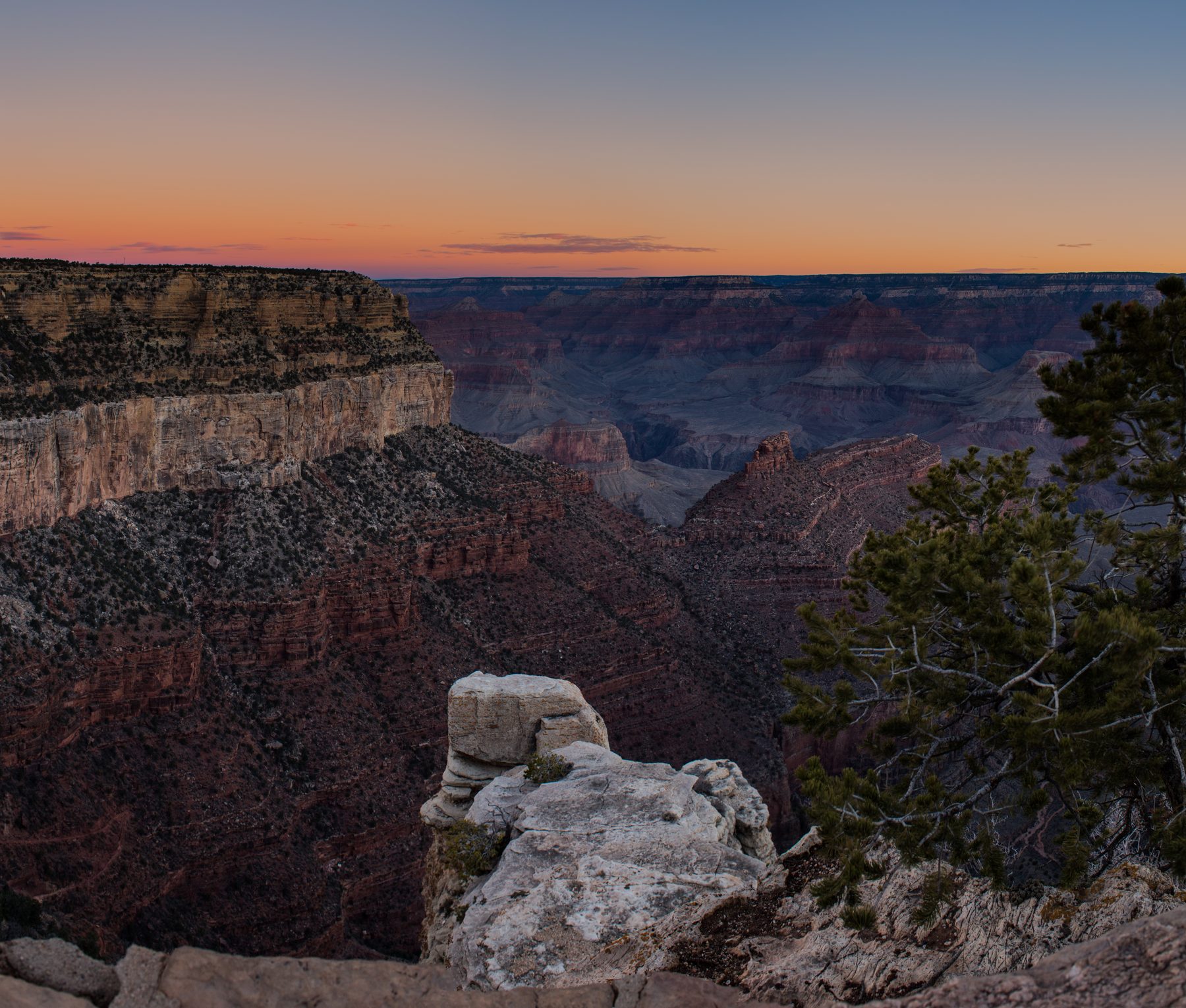 The Grand Canyon falling away in layers under a soft dusk sky