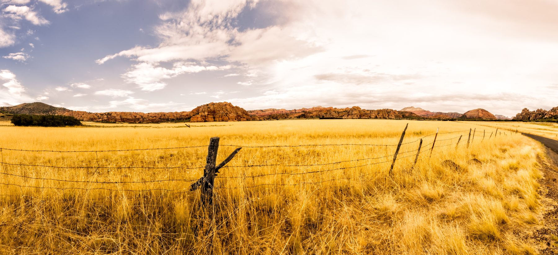 A weathered fence line running through a field of golden grass at sunset