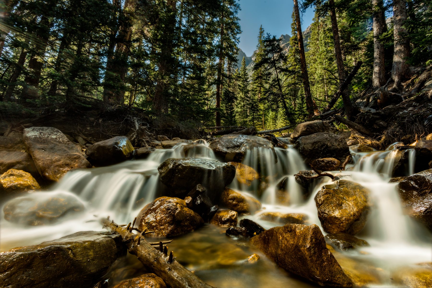 A small waterfall slipping over mossy boulders in a dense pine forest