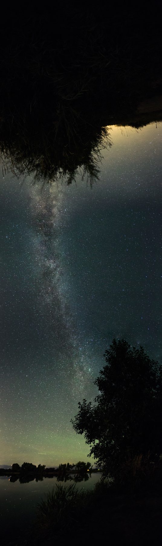 The Milky Way over still water, a single tree silhouetted on the bank