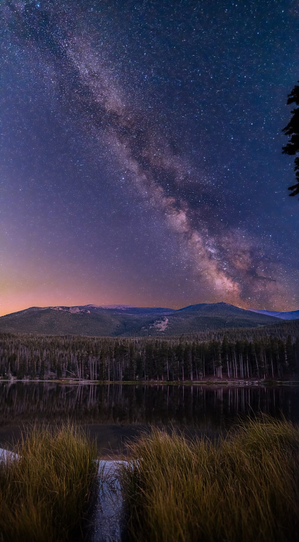 The Milky Way angled over a mountain lake fringed with reeds