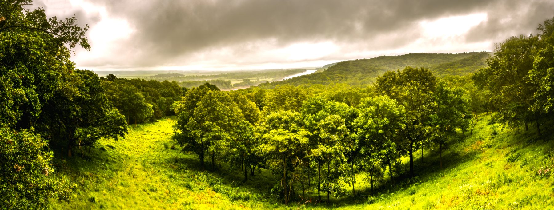 Rolling green hills and scattered trees under a bank of storm cloud