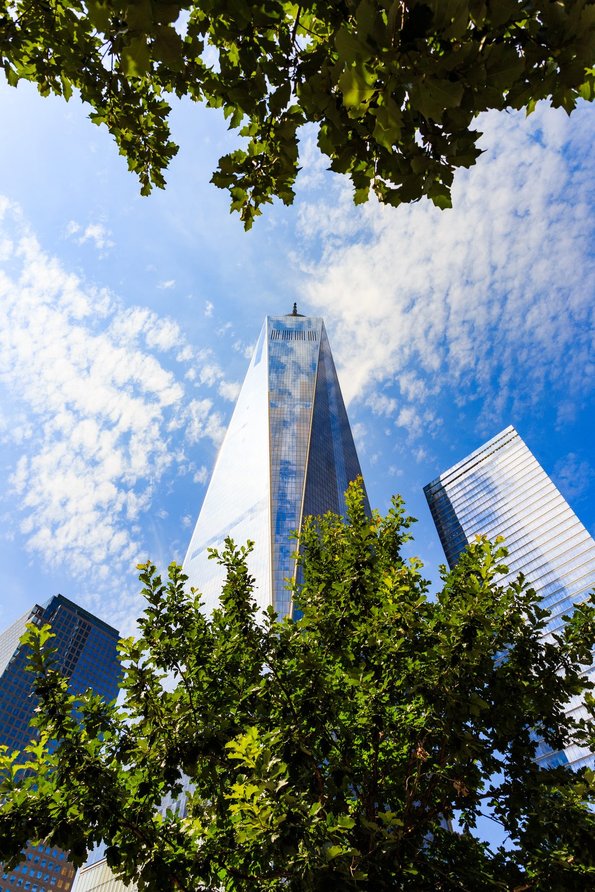One World Trade Center seen from below, framed by green summer leaves