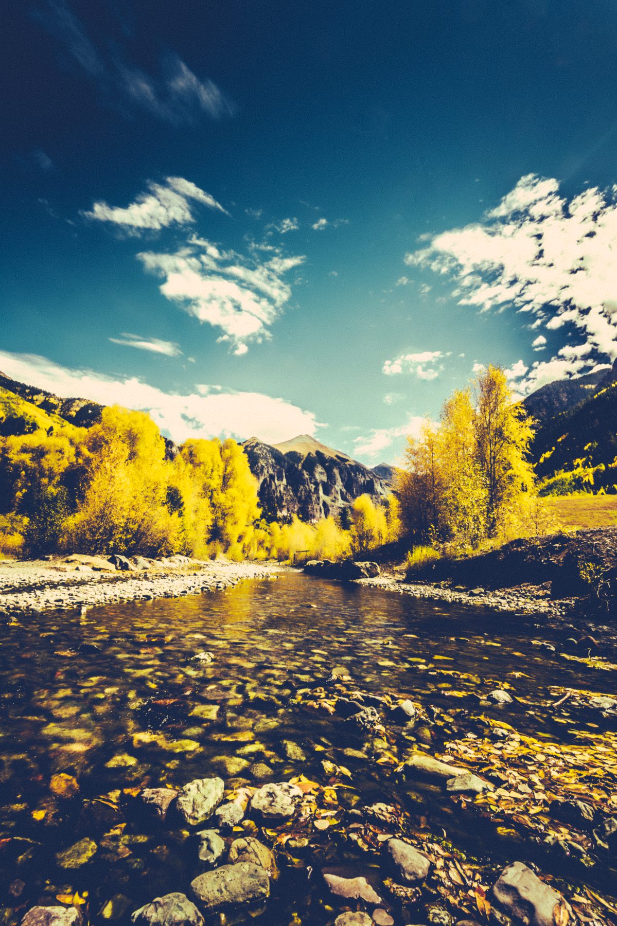 A shallow river over bright stones with golden aspens on the far bank