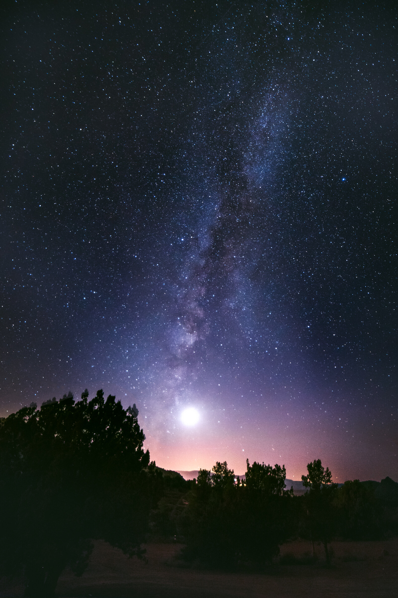 Vertical view of the Milky Way core rising vertically into the sky, a very bright planet glowing at the horizon and tree silhouettes along the bottom