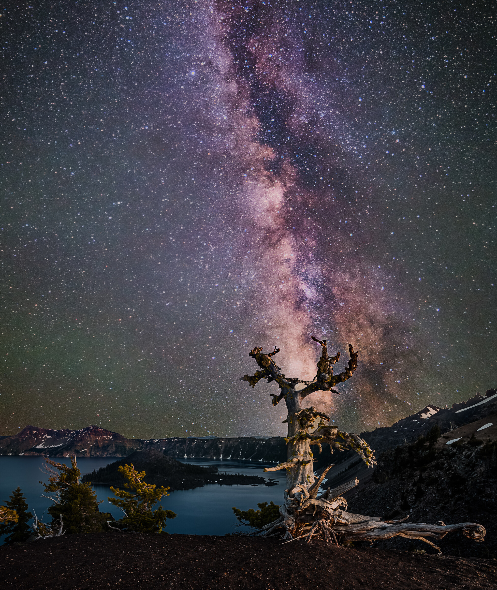 Vertical view of Crater Lake at night with the Milky Way core rising vertically behind a weathered dead tree on the rim, the caldera and Wizard Island visible below