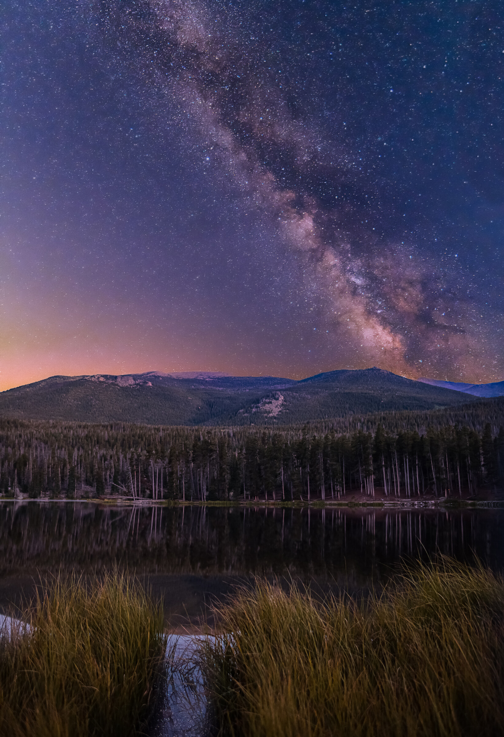 Vertical view of the Milky Way arching down to a mountain lake reflected on still water, grasses in the foreground, forested ridges beyond