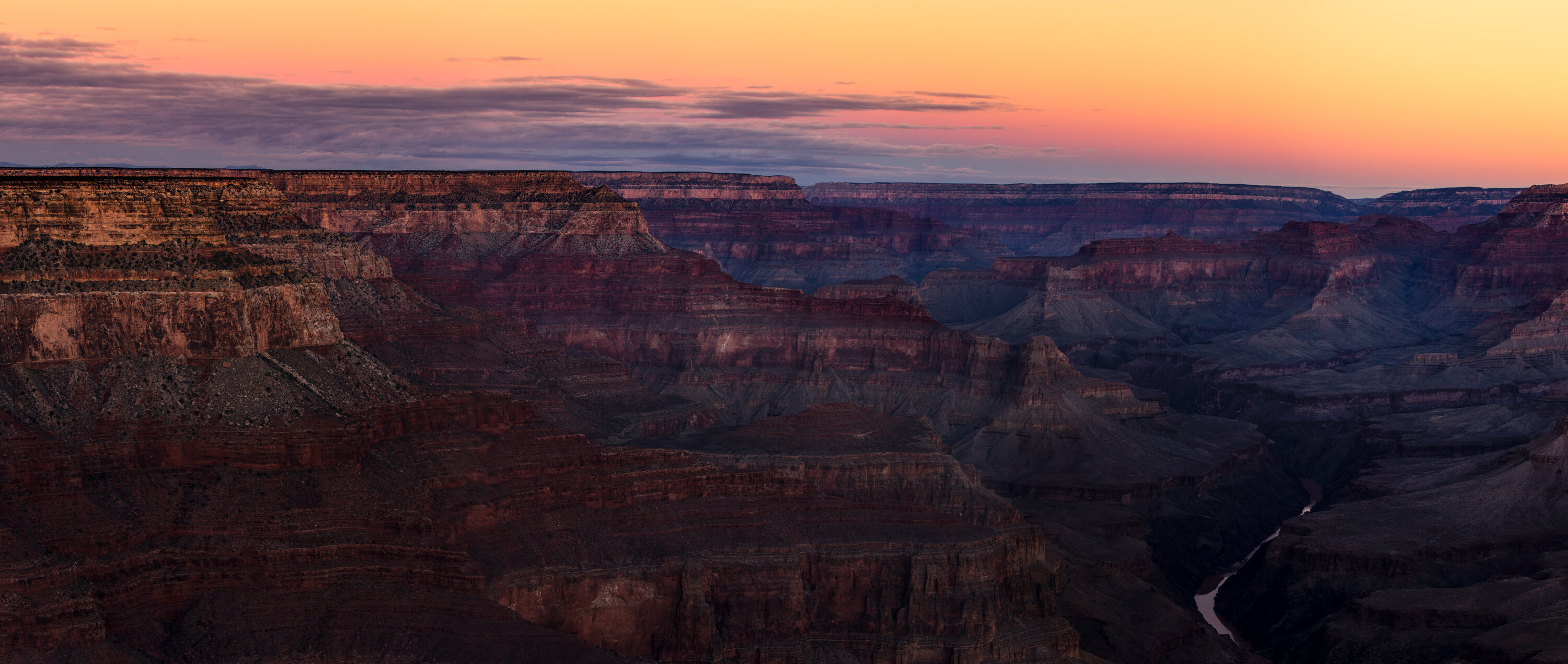 Panoramics