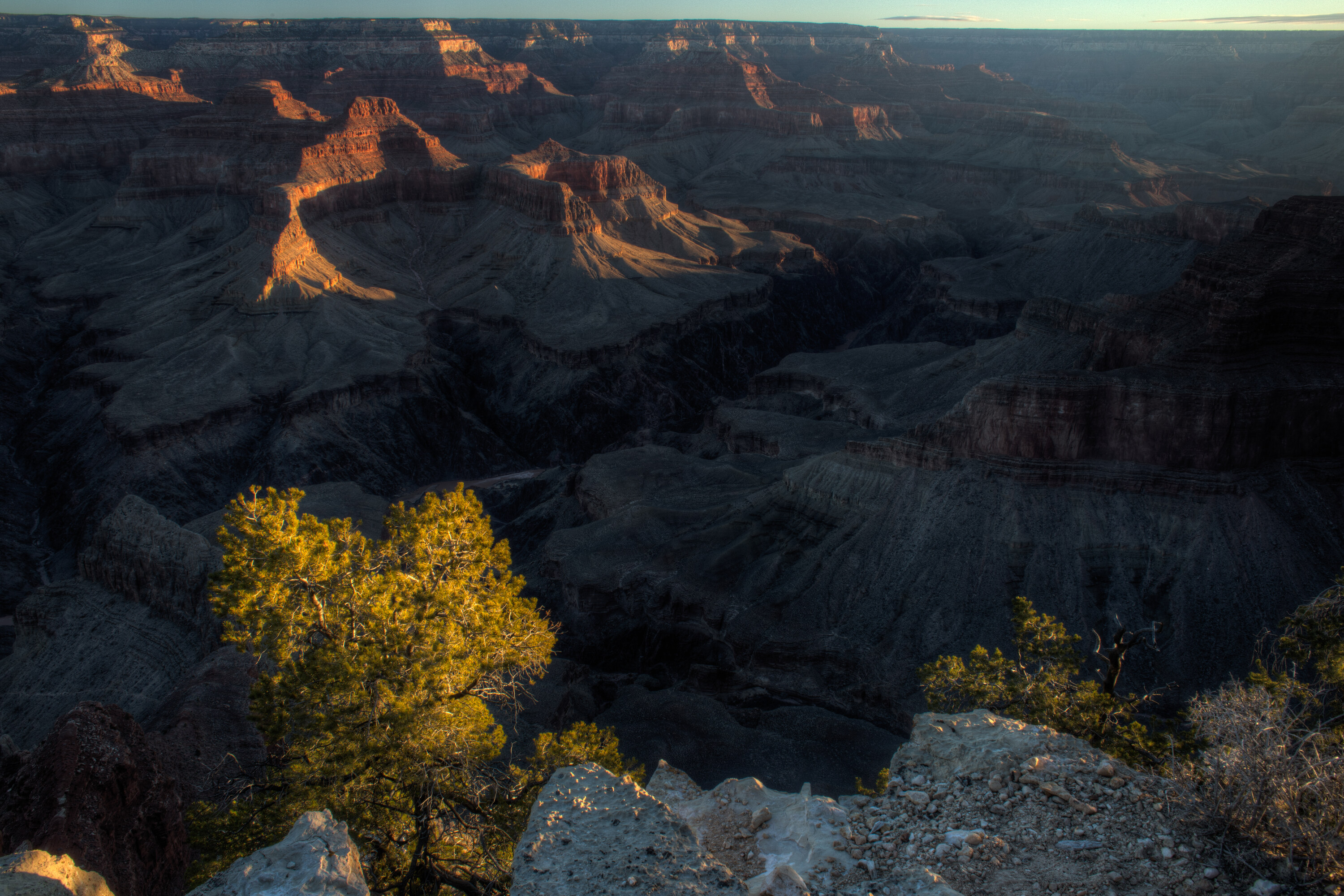 Vertical view from the Grand Canyon rim looking down into the inner canyon, a juniper tree in the lower corner of the frame, layered red and purple canyon walls receding into shadow