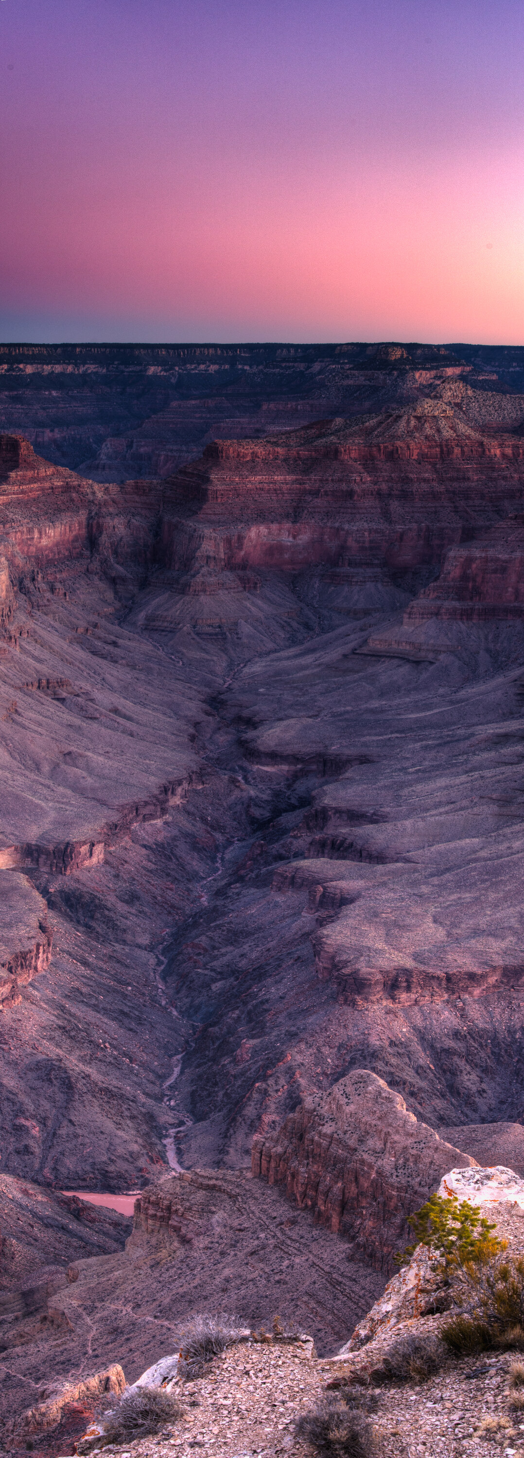 Vertical view of the Grand Canyon at twilight with a pastel pink-and-purple sky above and the layered canyon walls in deep shadow below
