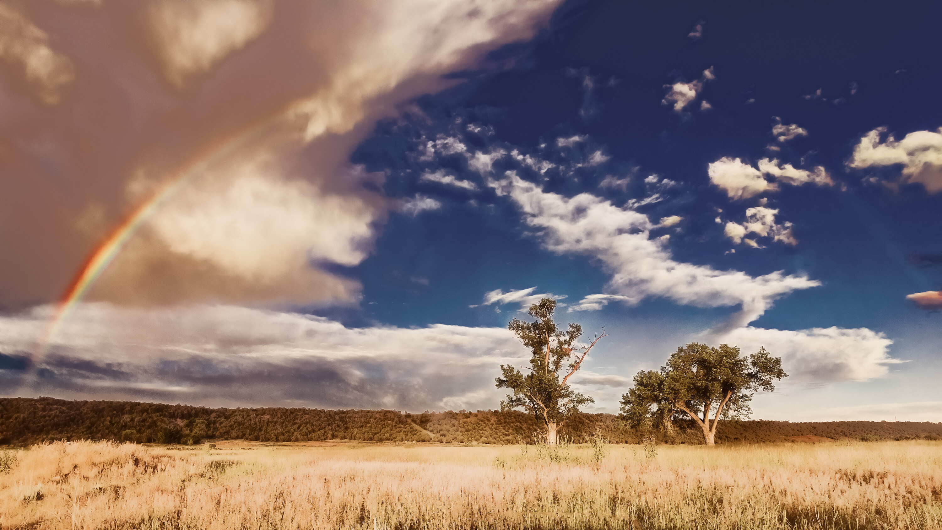 Wide panoramic landscape of high-plains grassland with two cottonwood trees, a partial rainbow on the left and a dramatic broken sky