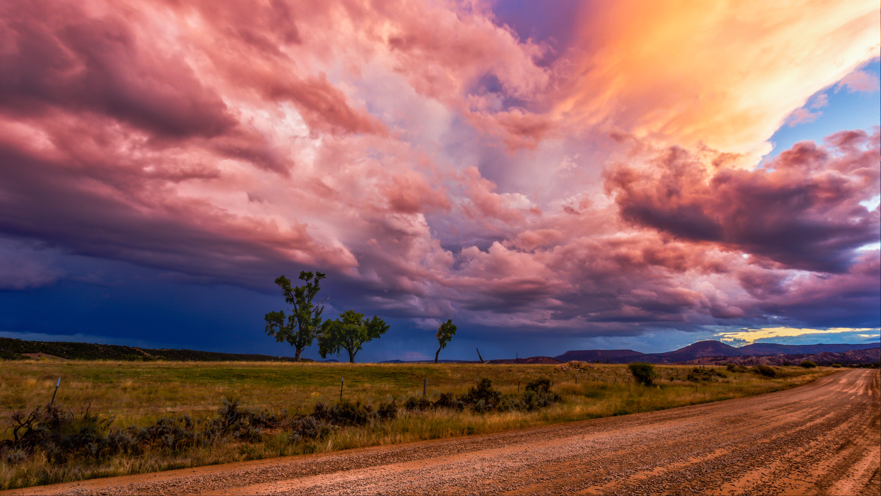 Wide panoramic of a dirt ranch road under a dramatic pink and orange sunset sky, two small trees on the horizon and grass in the foreground