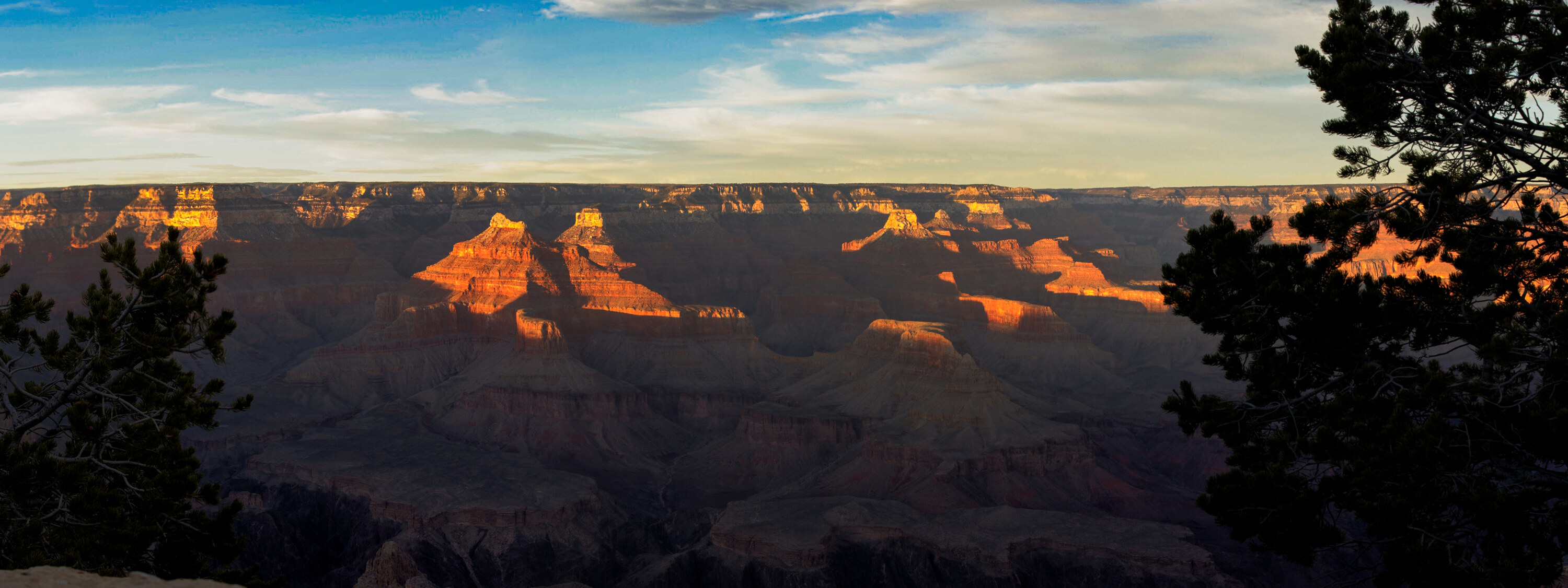 Wide panoramic of the Grand Canyon framed by juniper trees on the left and right, golden side-light hitting the canyon walls at sunset