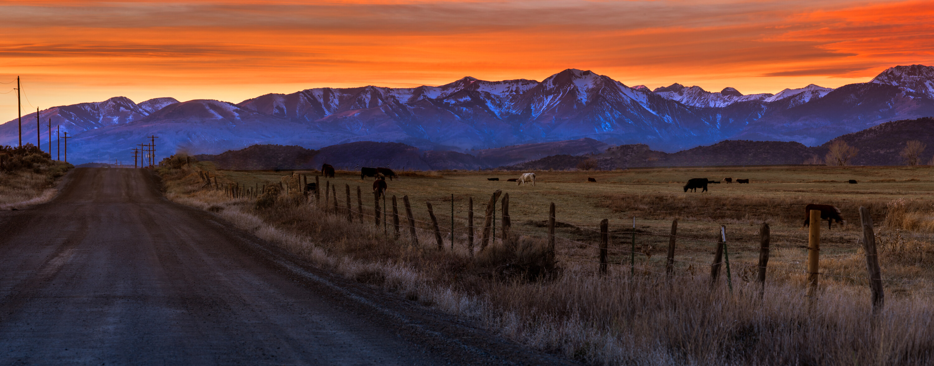Wide panoramic of a dirt road through grazing pasture with cattle scattered in the field, snow-capped mountain range in the background under a vivid orange sunset