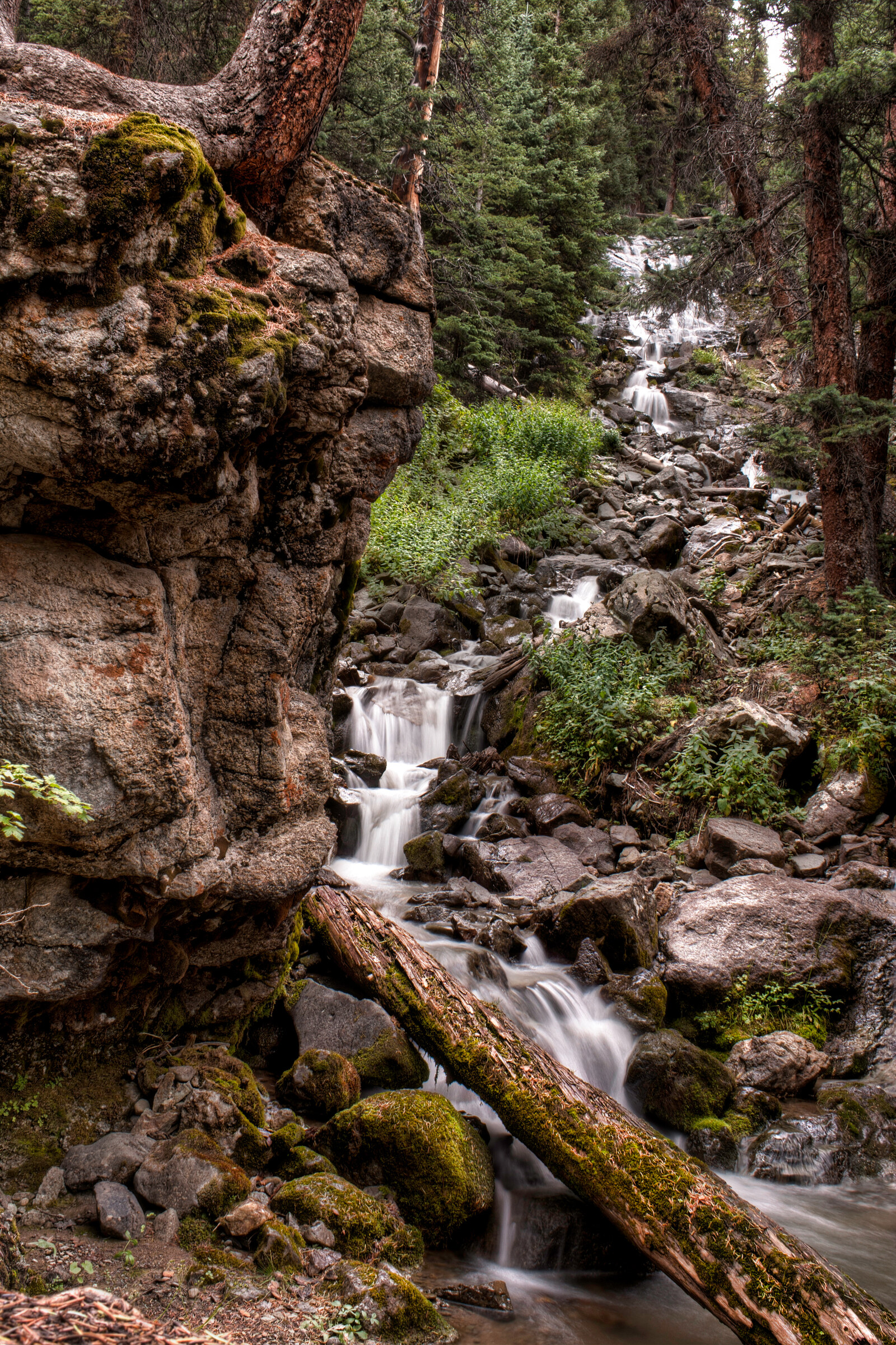 Vertical view of a multi-tiered forest cascade tumbling between mossy rocks, a fallen log spanning the lower pool, conifer trees rising above