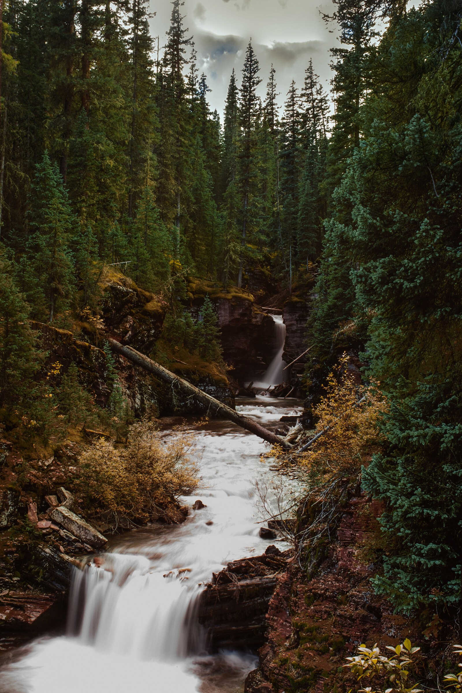 Vertical view of a tall waterfall in a deep canyon framed by tall evergreen trees, two-stage drop with a smooth foreground cascade