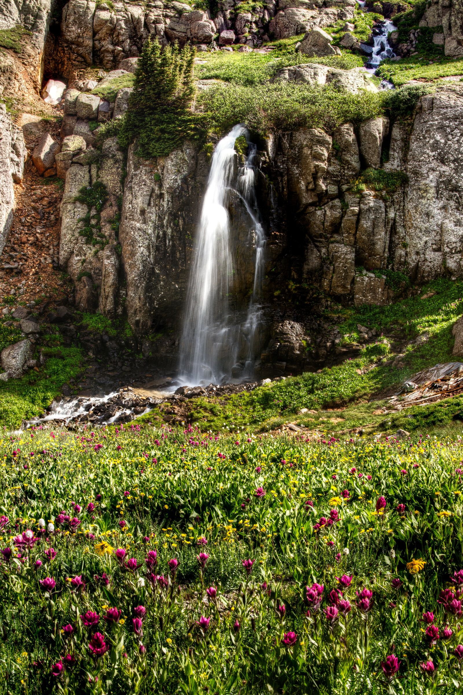 Vertical view of a thin waterfall dropping over a small cliff into a meadow of magenta paintbrush flowers and yellow alpine sunflowers in the foreground