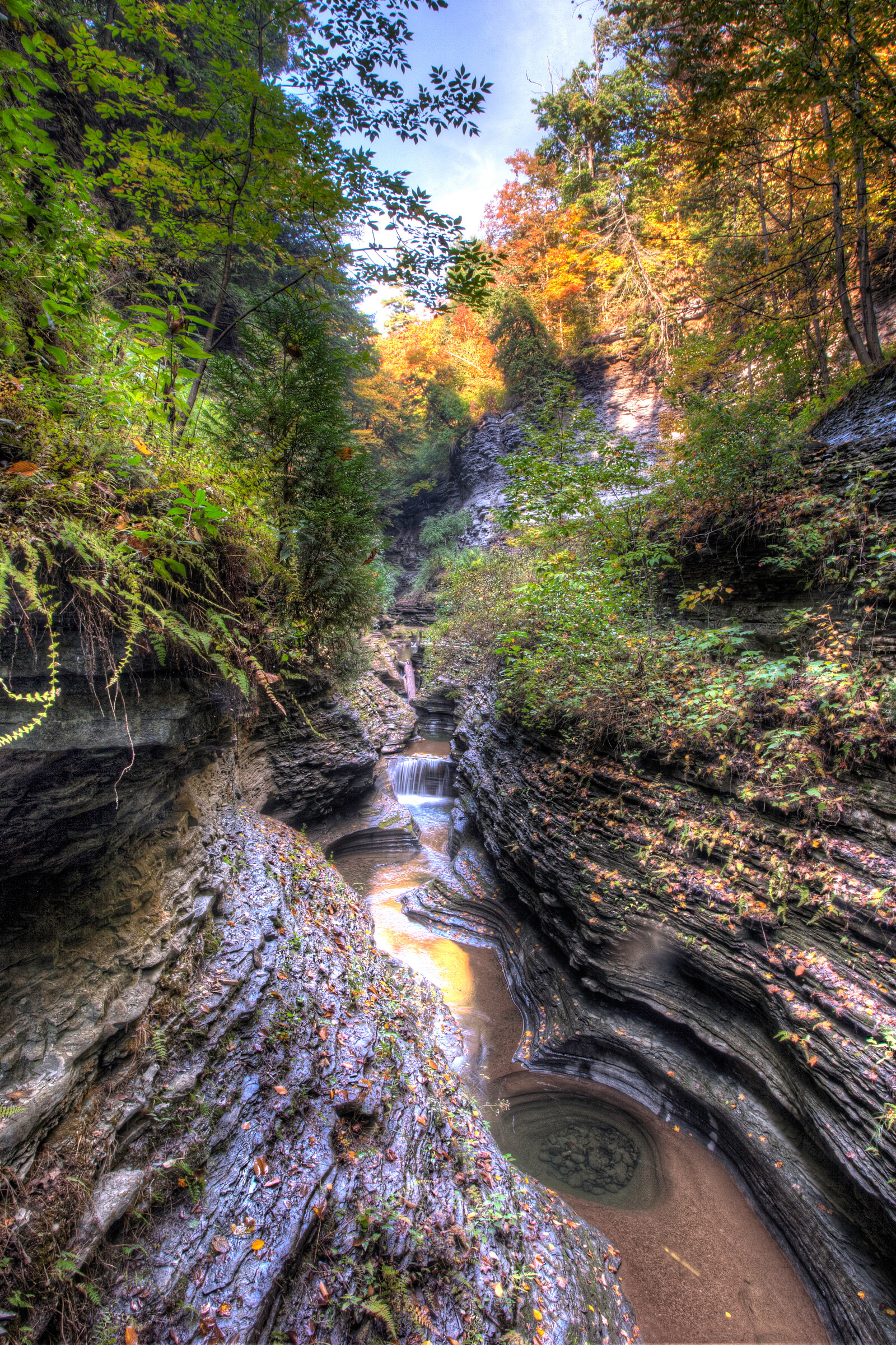 Vertical view of a small waterfall in Watkins Glen Gorge during autumn, brilliant fall foliage above, water carving smooth potholes in the sandstone below