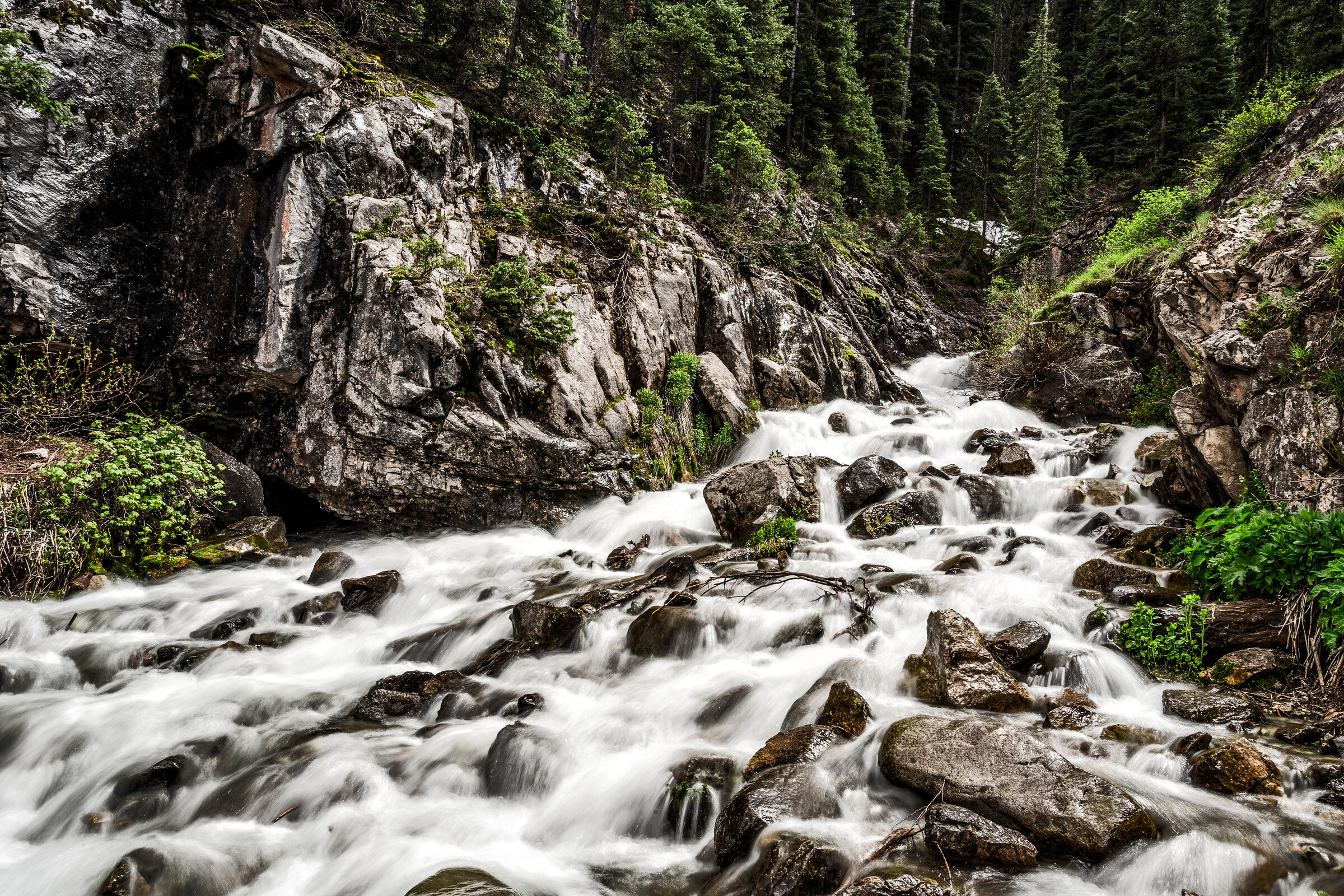 Wide landscape of rushing whitewater through a rocky mountain canyon, conifer forest in the background, long-exposure smoothing the rapids