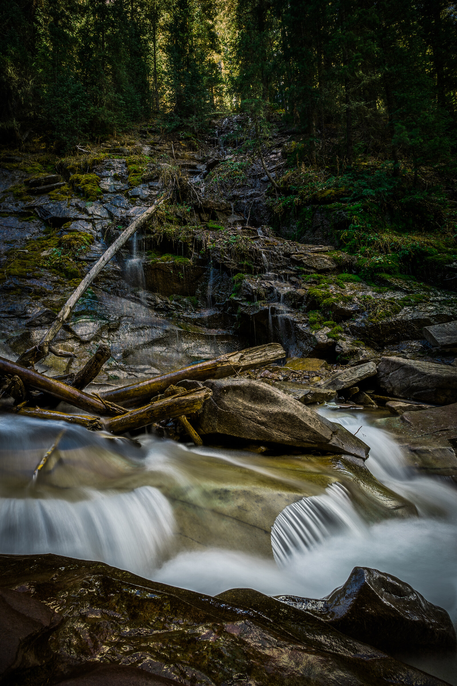 Vertical view of a forest cascade with mossy rocks, fallen logs and a small pool below, dappled sunlight filtering through the trees