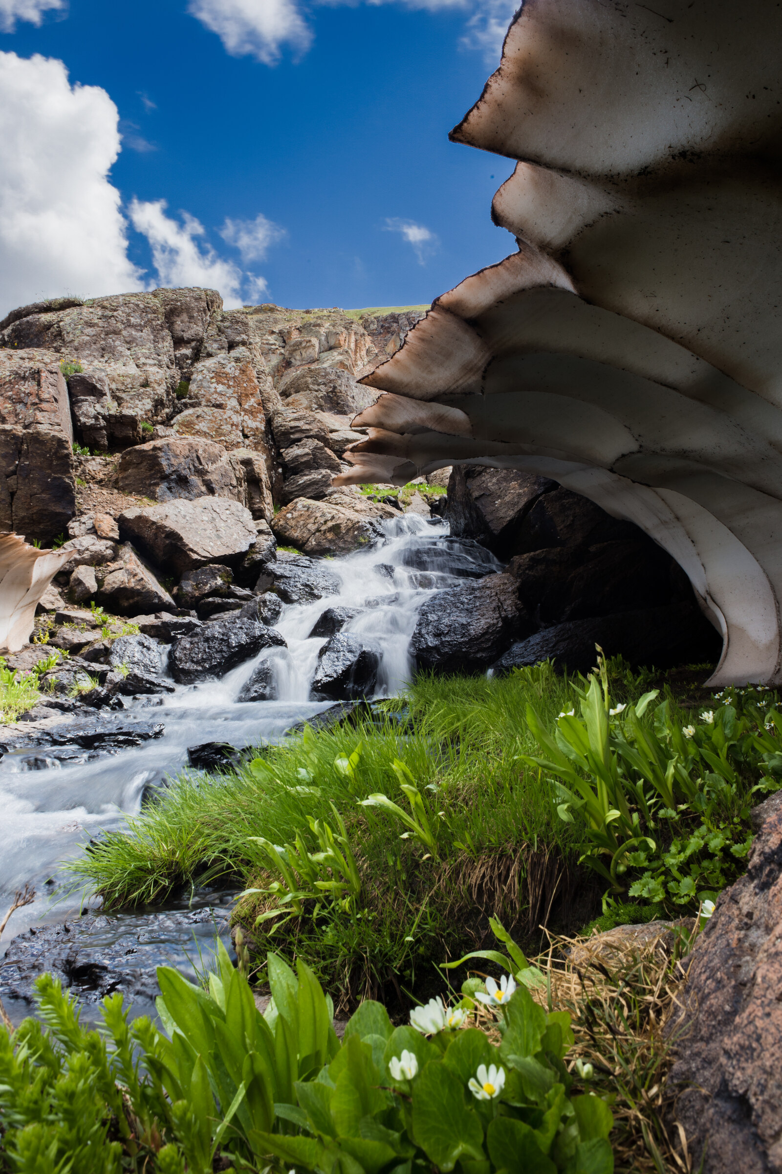 Vertical view of an alpine cascade with a thick snow overhang above and white wildflowers at the base, blue sky and rocky ridges in the distance